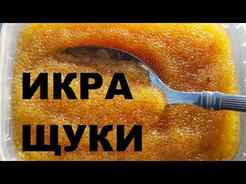 Video: Шортан икрасын кантип бышыруу керек