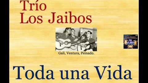 Trío Los Jaibos:  Toda una Vida  -  (letra y acordes)
