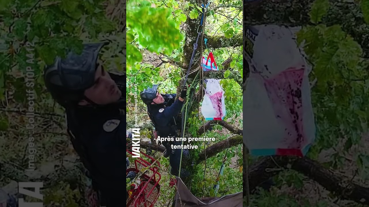 A412 : Ces grimpeurs occupent les arbres pour EMPÊCHER leur abattage