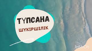 ТҮПСАНА. Шүкіршілік.Айнур Турсынбаева. Аудио кітаптар. Аудио кітап қазақша.Мотивация