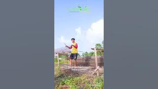 500 RB punya rumah