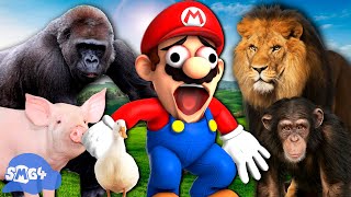 Мульт SMG4 Mario Goes To The Zoo