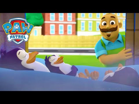THE BEST ANIMAL RESCUES! - PAW PATROL UK - CARTOONS FOR KIDS COMPILATION