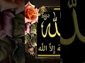 Allah ❣️❤️🙏🙏