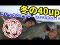 バス釣り　フリックシェイク最強説！冬の40UP Bass fishing in Japan