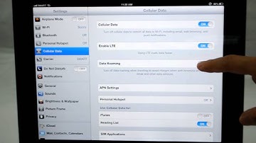 Apple iPad 4th Generation: Turn off / on Data Roaming