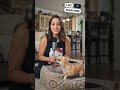 Sharing love one bite at a time 🥰🐶”#shorts