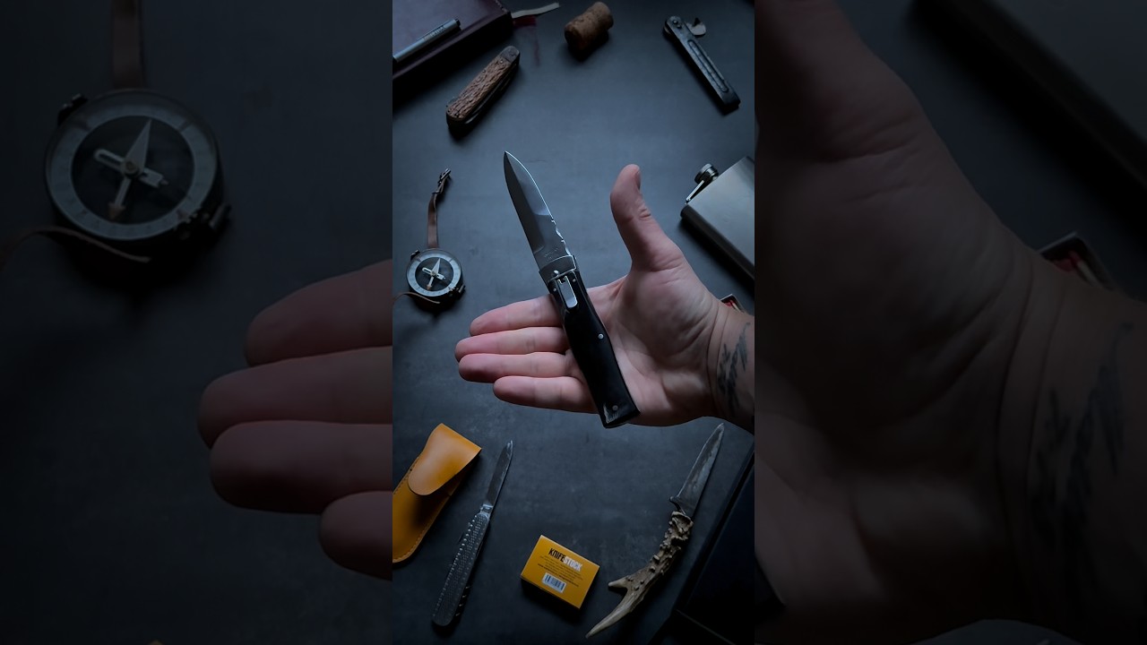 Mikov Predator &ndash; Czech Automatic Knife | RWL 34 Steel & Buffalo Horn Elegance 🇨🇿🔪