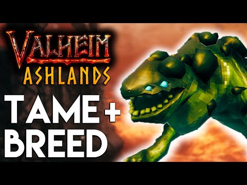 🔥Valheim - Asksvin Tame + Breed Guide