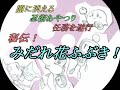 【平和組】秘伝！みだれ花ふぶき！【ゲーム実況者MAD】