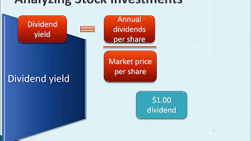 Co jsou dividendy a kapitálový příjem?