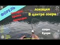 Русская рыбалка 4 - озеро Куори - Форель: проводки, поводки, крюки