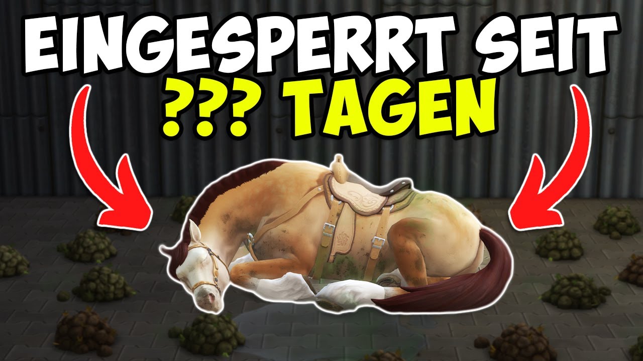DAS passiert, wenn man sich NICHT um seine TIERE kümmert! 😱😳 Die Sims 4 Nesmeralda