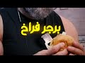 برجر فراخ احلي من المطاعم صحي ومفيد واقتصادي لانه بفول الصويا mp3