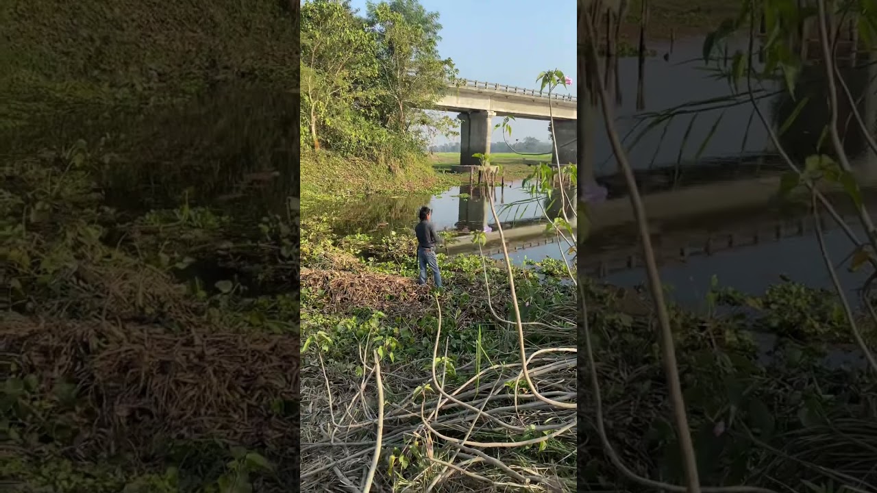 Snakehead fishing with spinning rod and reel 