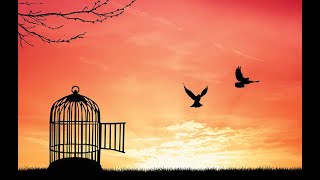 Its Over. Youre free.