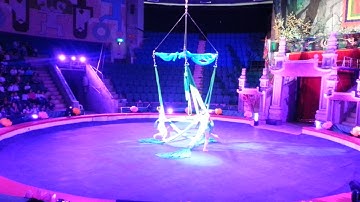 Tiết mục đặc biệt tai Rạp xiếc TW