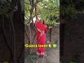 Guava lover🍐🍏 #short #funny #couplegoals