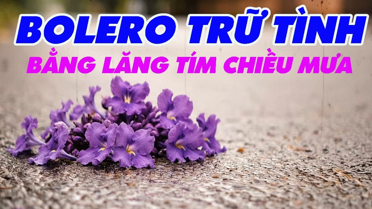 BẰNG LĂNG TÍM CHIỀU MƯA | Bolero Buồn Miền Tây | Nghe Là Nhớ Người Xưa