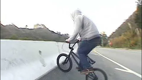 SJBMX - Street Sharks