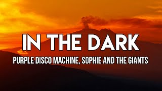 Purple Disco Machine, Sophie and the Giants - In The Dark ( Lyrics) | I got lost in the wilderness