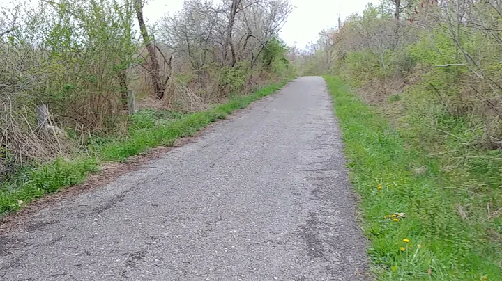 Rails to Trails, Alison Wells Ney Nature Trail