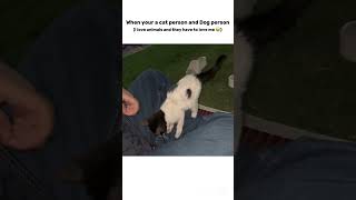 Me And My Love For Animals