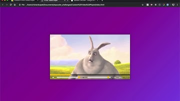 HTML5 Video Player Demo