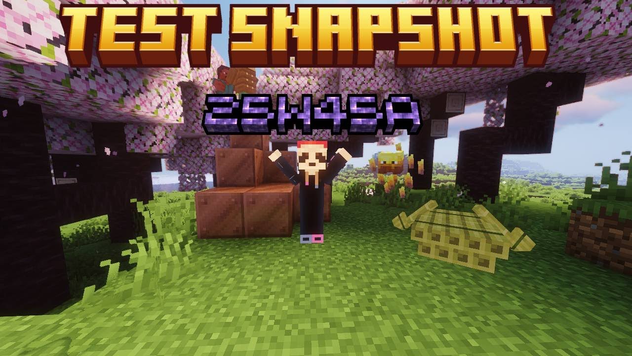 TESTUJEMY SNAPSHOT 25w46a z @bireczek21_YT-i5p - YouTube