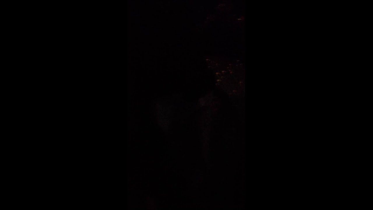 Justin Bieber says he loves his fans