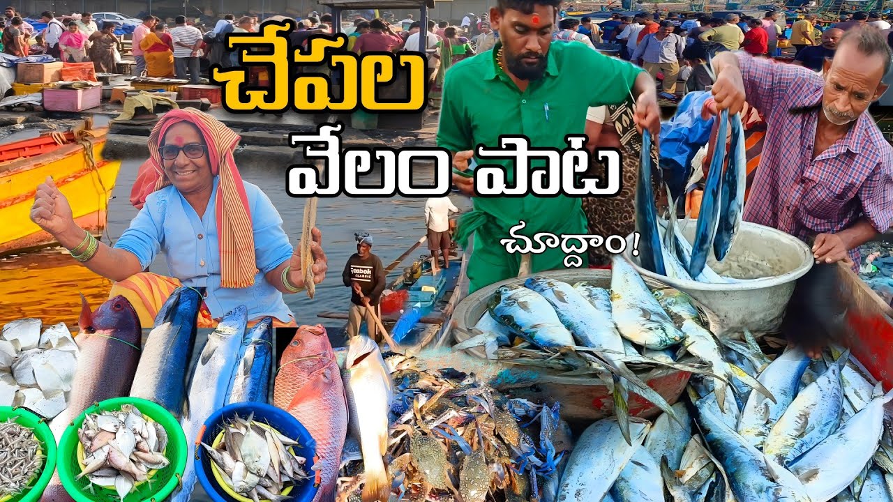 చేపల మార్కెట్ | చేపల వేలం పాట | Fish Market Telugu| Fish Market Vizag| Latest Fish Market
