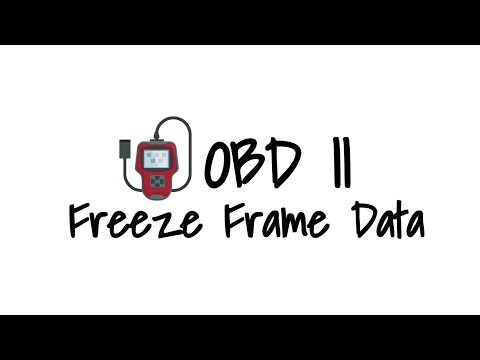 Freeze Frame Data Example