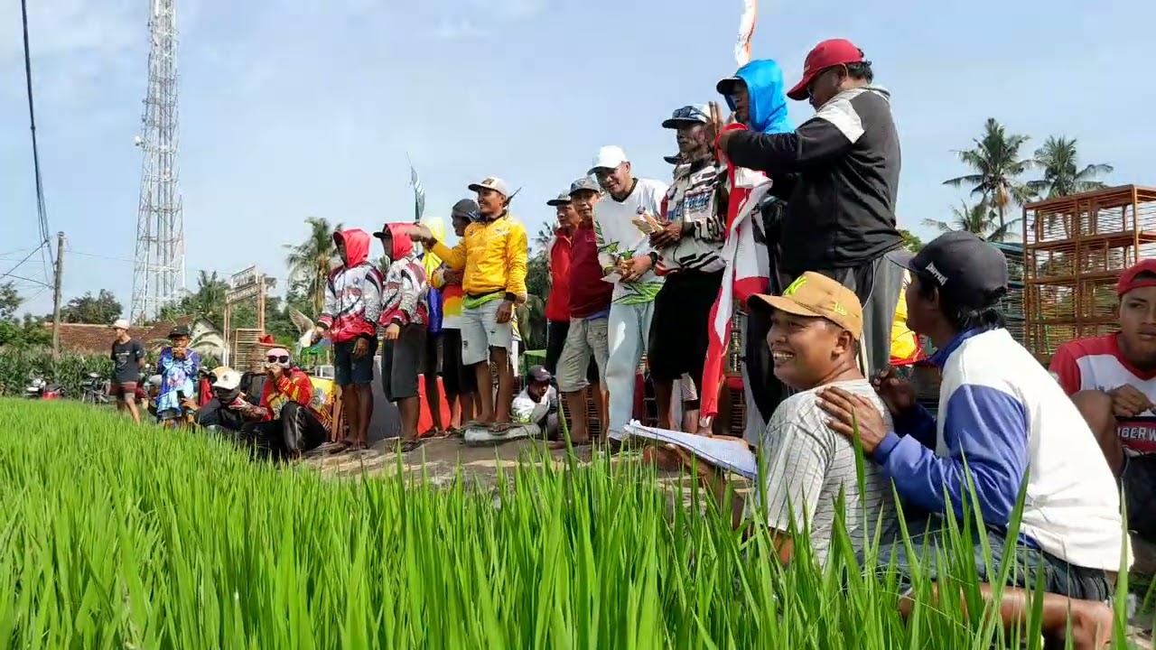 Latihan bersama merpati balap di lapak tawangalun sraten