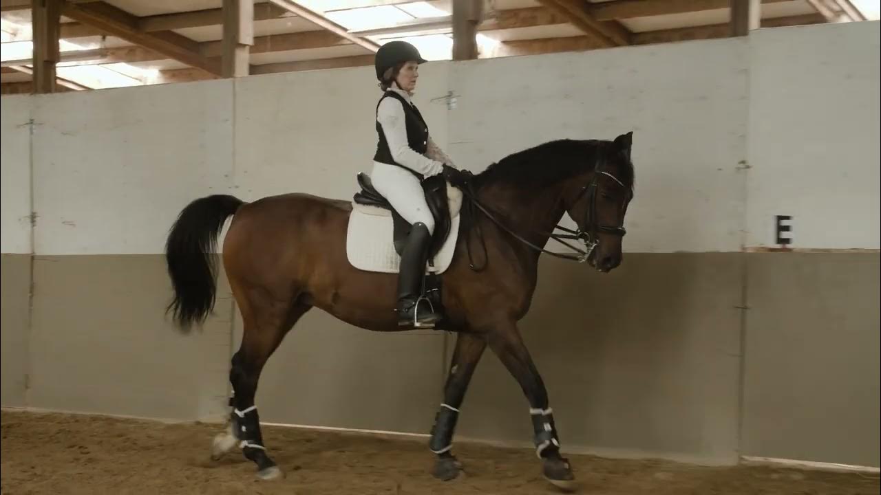Mastering Advanced Lateral Movements Elevate Your Equestrian Skills