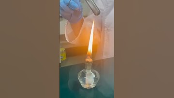 Heating a Test Tube #laboratory #chemistry #vetschool