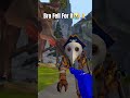 @Cat Plays Vr