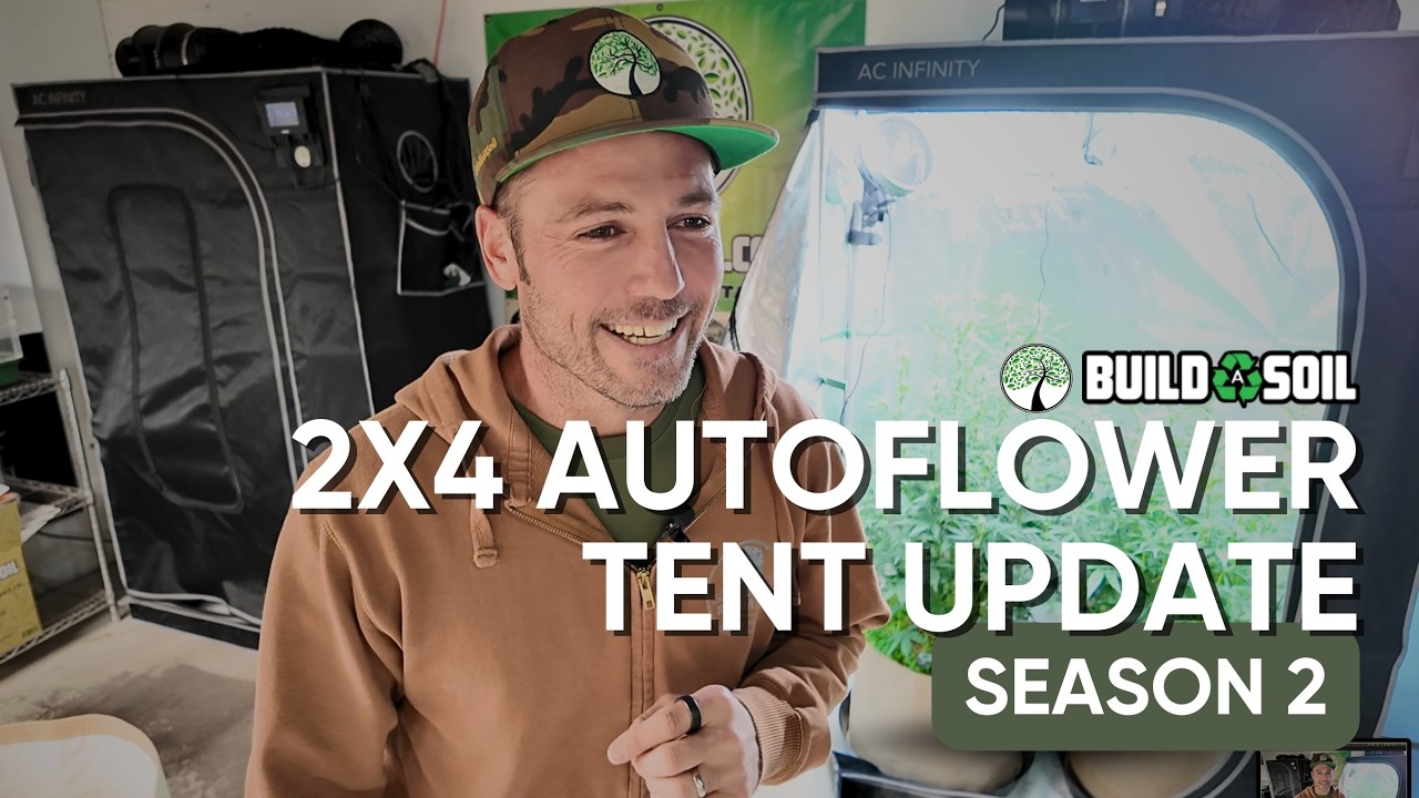 BuildASoil: 2x4 Autoflower Tent Update | Season 2