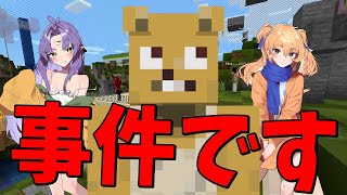 Download Lagu 女体化グッズを飛んだしもさわがコミケで自分のグッズを売ろうとしてる件について - マインクラフト【KUN】 MP3 Download Lagu 女体化グッズを飛んだしもさわがコミケで自分のグッズを売ろうとしてる件について - マインクラフト【KUN】 MP3