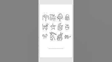 Orthographic Mapping explored by SENCos, teachers, SLTs and researchers. The Visible English Code!
