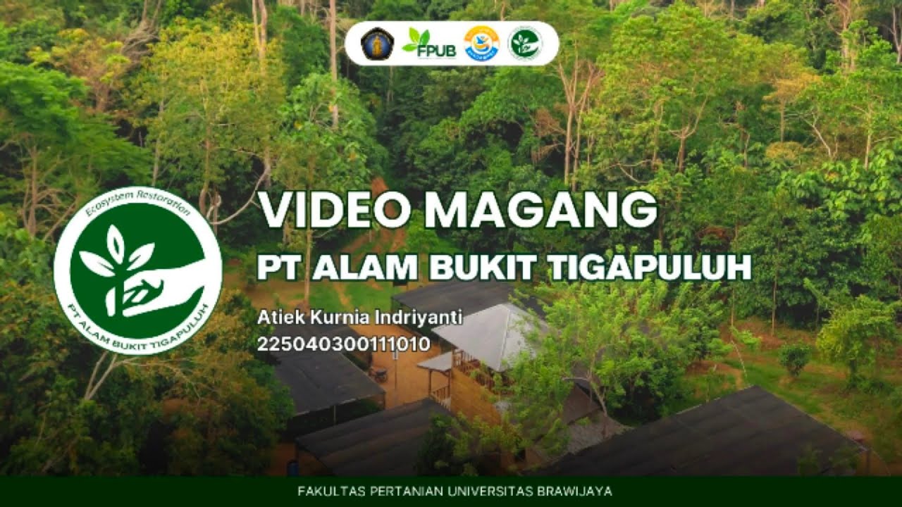 Magang Kerja PT. Alam Bukit Tigapuluh - Atiek Kurnia Indriyanti