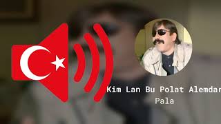Kim Lan Bu Polat Alemdar - Pala - Kurtlar Vadisi - Ses Efekti