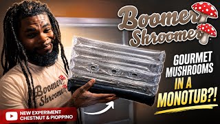 🍄 Boomer Shroomer Grow Series | Episode 3 – Building the Monotub & Spawning to Bulk! 🍄