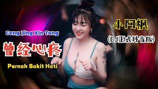 小阿枫 - 曾经心痛 (Dj正式抖音版) Ceng Jing Xin Tong【Pernah Sakit Hati】- Lyrics Pinyin Terjemahan Indonesia