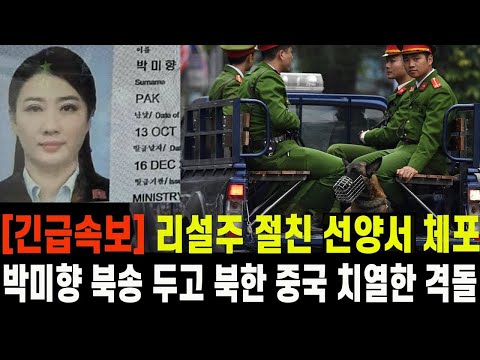 [Exclusive] Ri Sol-ju's Best Friend Arrested in Shenyang... Tense Standoff Between North Korea an...
