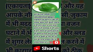 पान के पत्ते के फायदे |♧|ayurveda fitness viral shorts