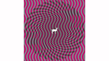 Deerhunter - Octet-Stream