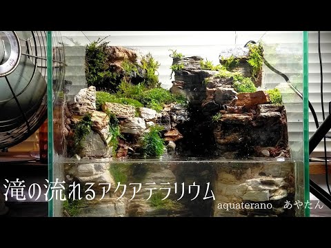 滝の流れるアクアテラリウム - YouTube