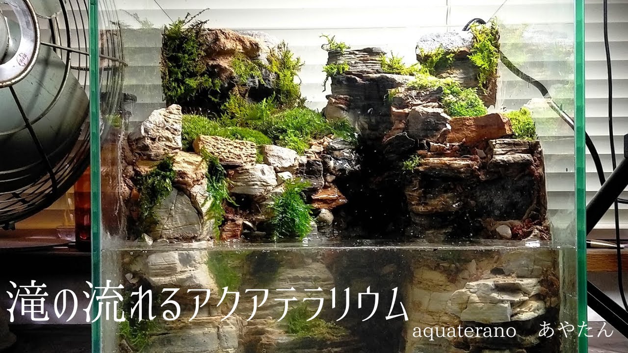 滝の流れるアクアテラリウム - YouTube