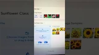 Teachable Machine - Machine Learning Explained Simply