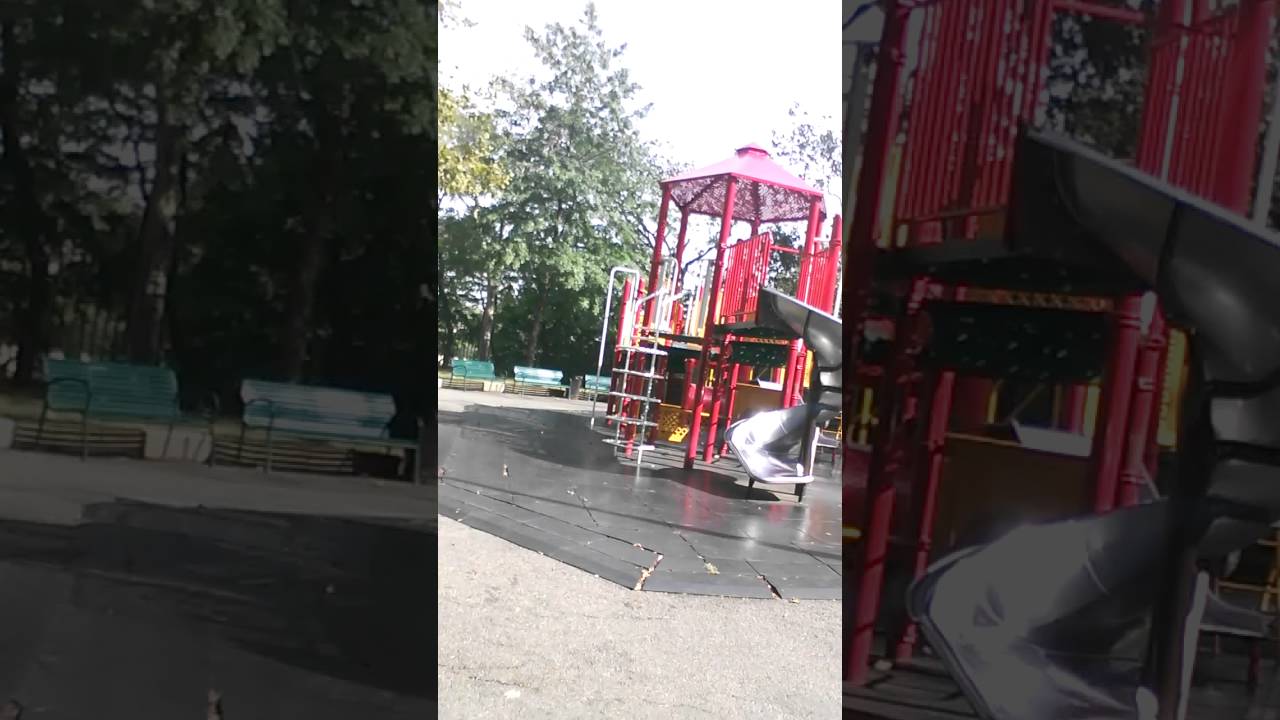 Charmander charmander ft. Sebthegamer